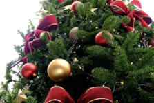 Berounské adventní trhy chystají překvapení. Vizualizace již nyní odhaluje modernější podobu prostoru Berounské adventní trhy chystají překvapení. Vizualizace již nyní odhaluje modernější podobu prostoru